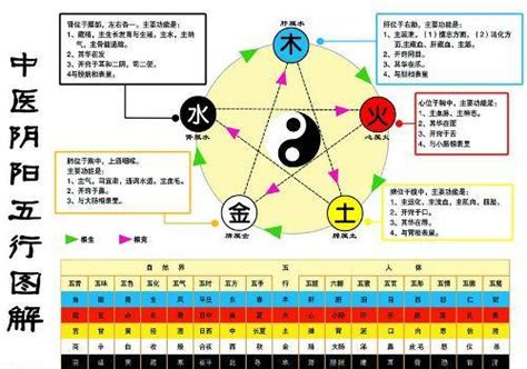 金和水的关系|怎样理解五行理论中的“金生水”？